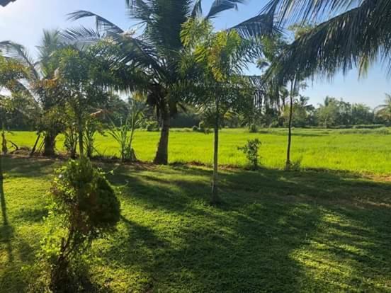 Hotel Wild Breeze Tissamaharama Esterno foto