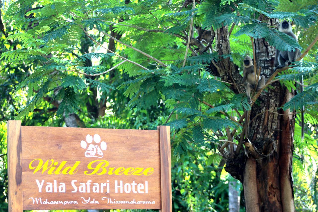 Hotel Wild Breeze Tissamaharama Esterno foto